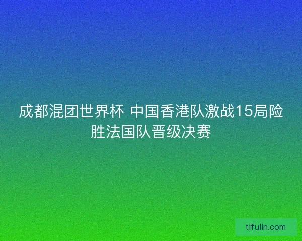成都混团世界杯 中国香港队激战15局险胜法国队晋级决赛